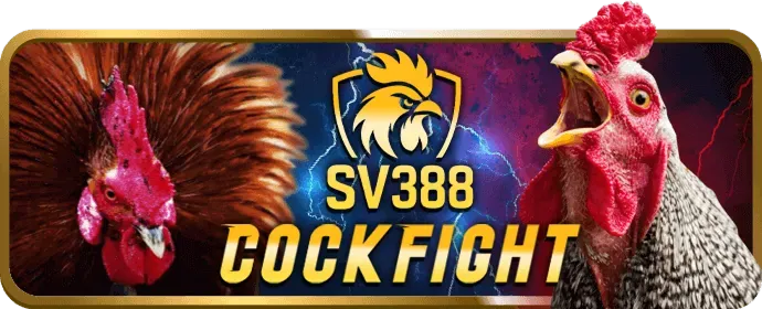 Quy tắc và điều khoản trò chơi luck8 code
